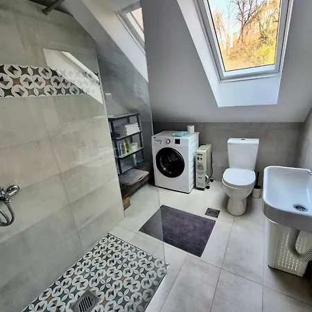 Roof Apartment *