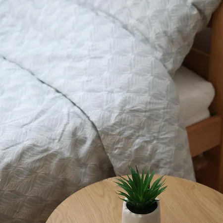 Roof Apartment
